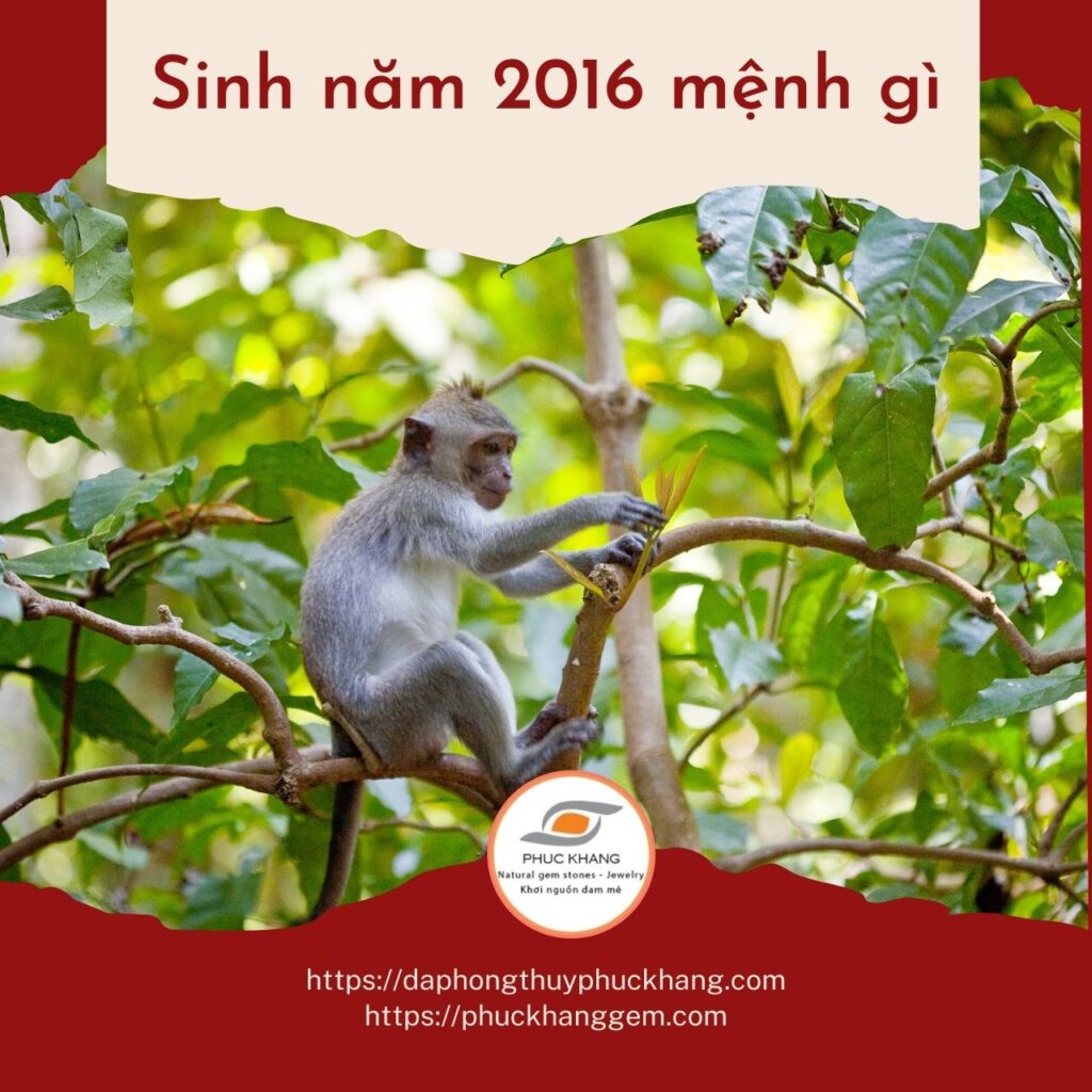 SINH NĂM 2016 MỆNH GÌ TUỔI BÍNH THÂN HỢP TUỔI NÀO MÀU GÌ  Phúc Khang